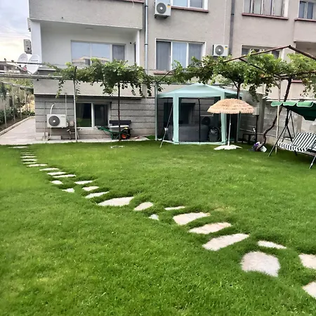 Elion House ゲストハウス