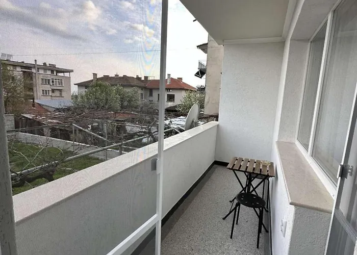 Pensjonat Elion House Chisaria